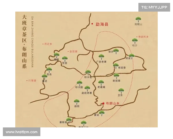 布朗表现优异的五大关键因素深入分析与探讨